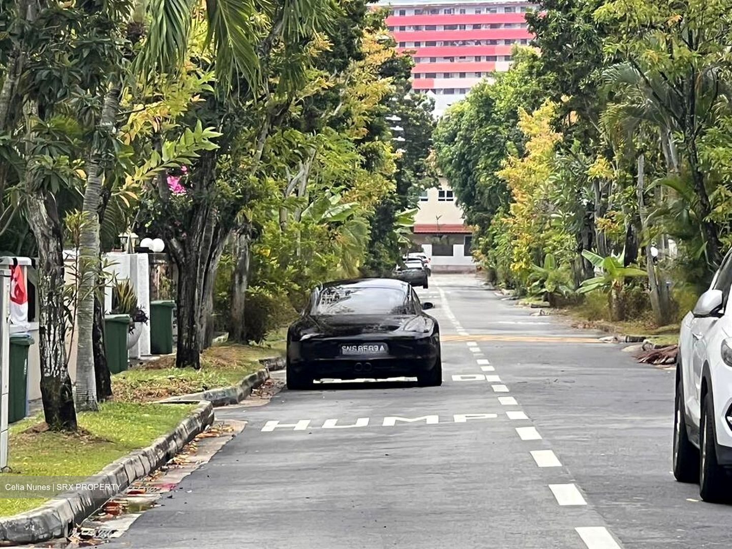 Opera Estate (D15), Detached #464114851